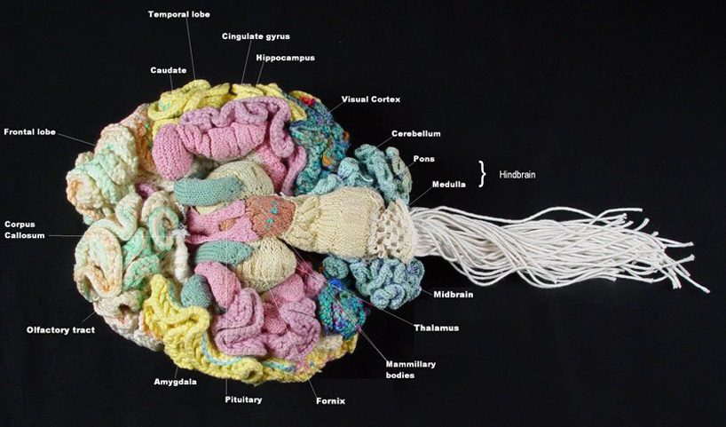 If Your Brain Were Made of Yarn